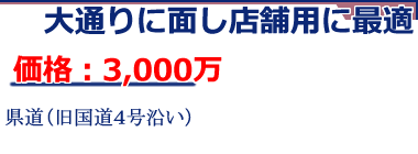 ��ʂ�ɖʂ��X�ܗp�ɍœK�@���i�F4,100��